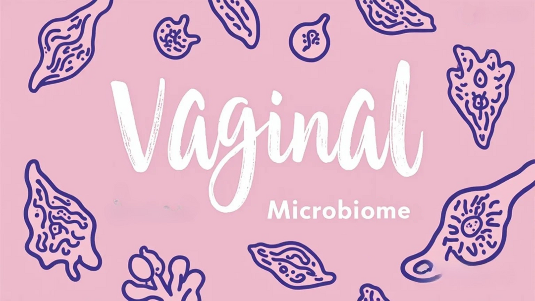 What is the Vaginal Microbiome?